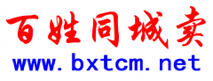 专业网站建设、网站制作、网站优化